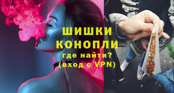 трава Белокуриха
