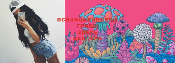 трава Белокуриха