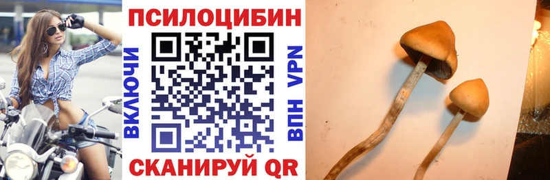 Галлюциногенные грибы Magic Shrooms Онега